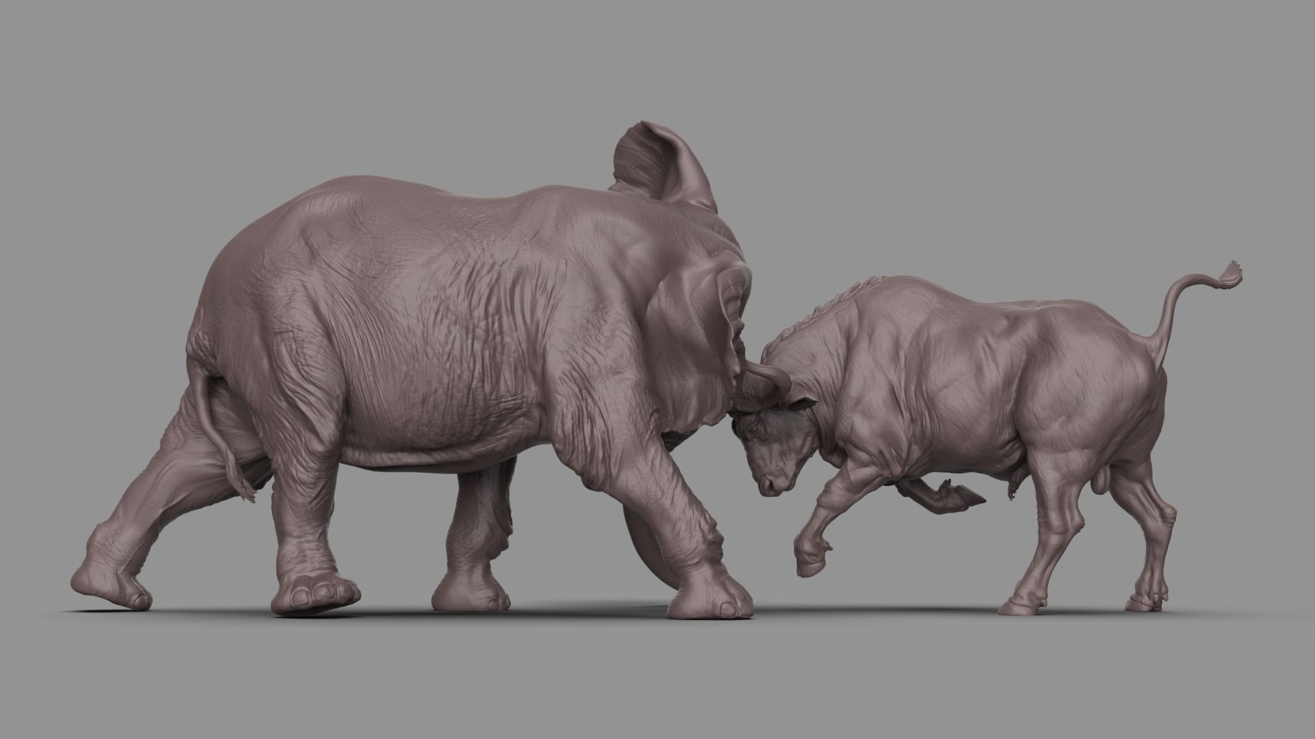 Bull elephant Fight 3D model_1
