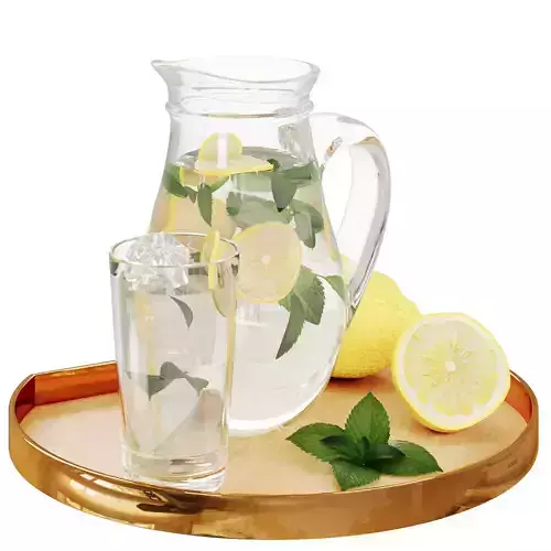 N26 DECANTER  Glass Pitcher with Lemon Water and Glass on Tray 3D model