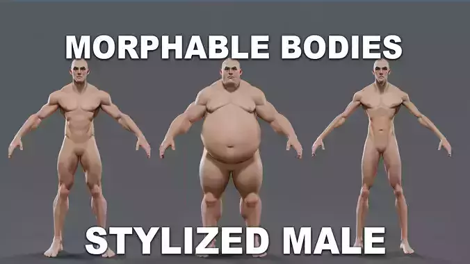Stylized Morphable Male Body