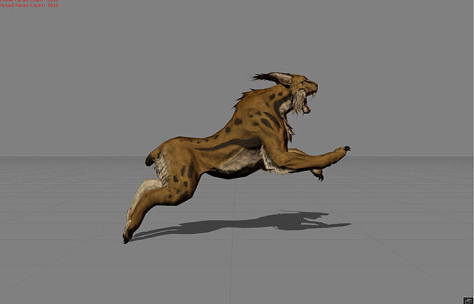 Lynx Animal Wildcat Low-poly 3D model