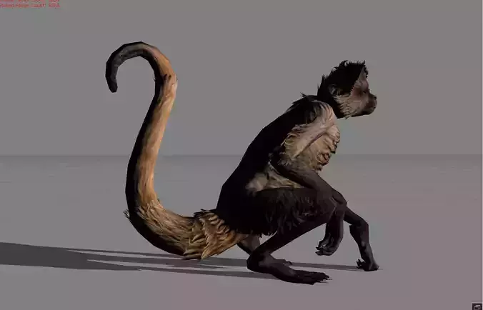 Monkey Thin Animal Low-poly 3D model