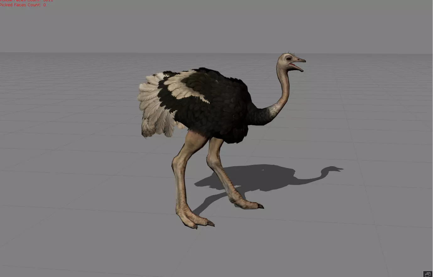 Ostrich Animal Low-poly 3D model