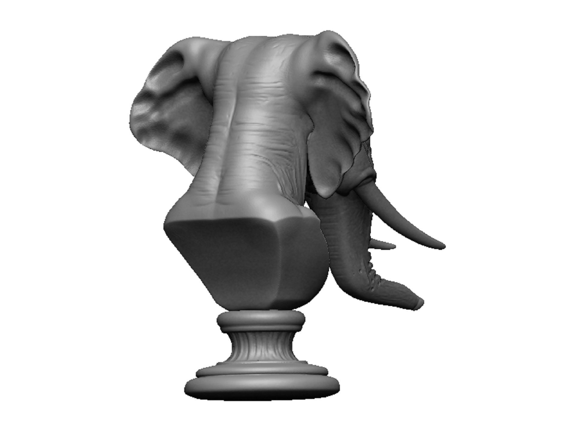 elephant head bust 3D print model_3