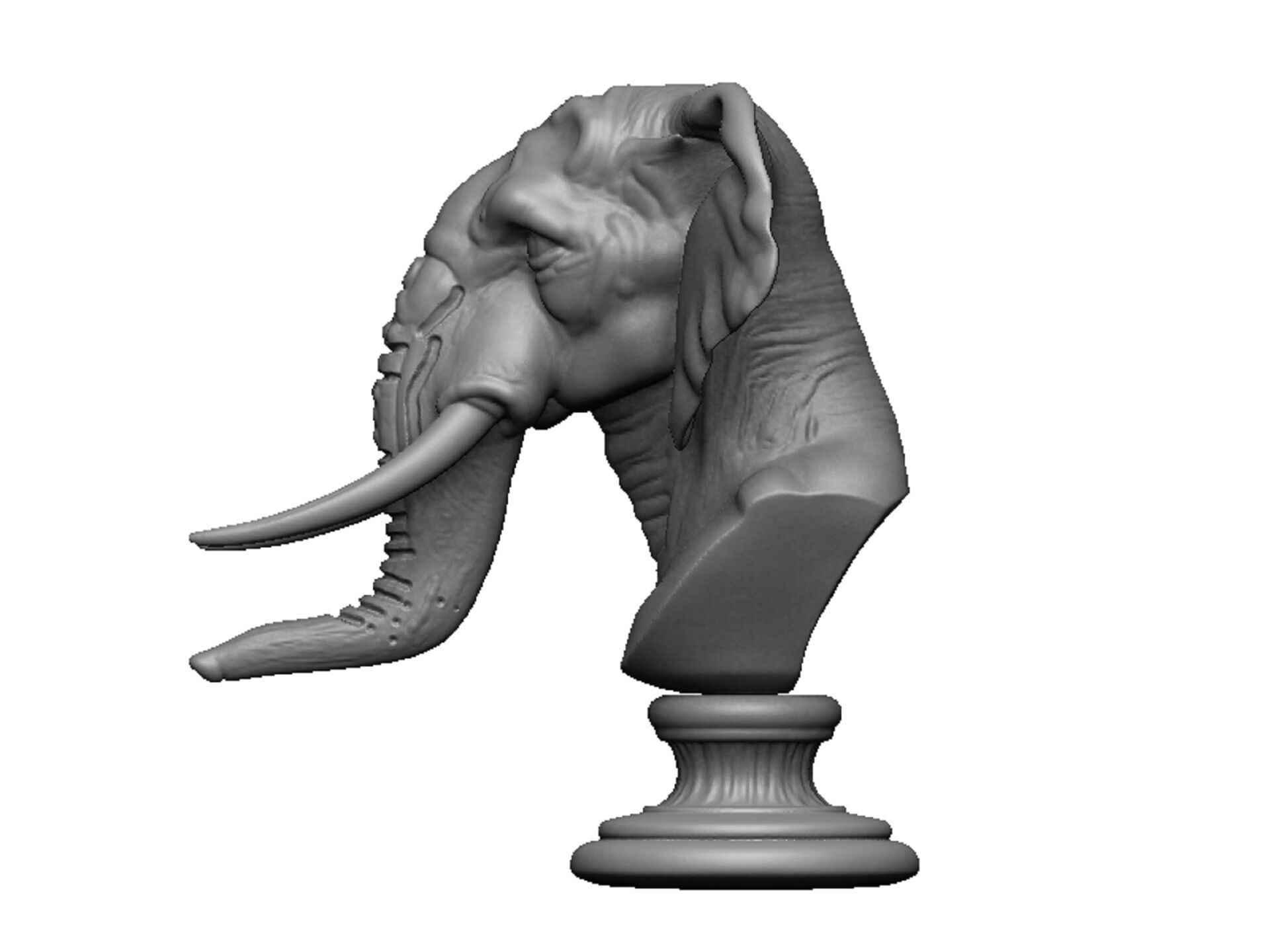 elephant head bust 3D print model_6