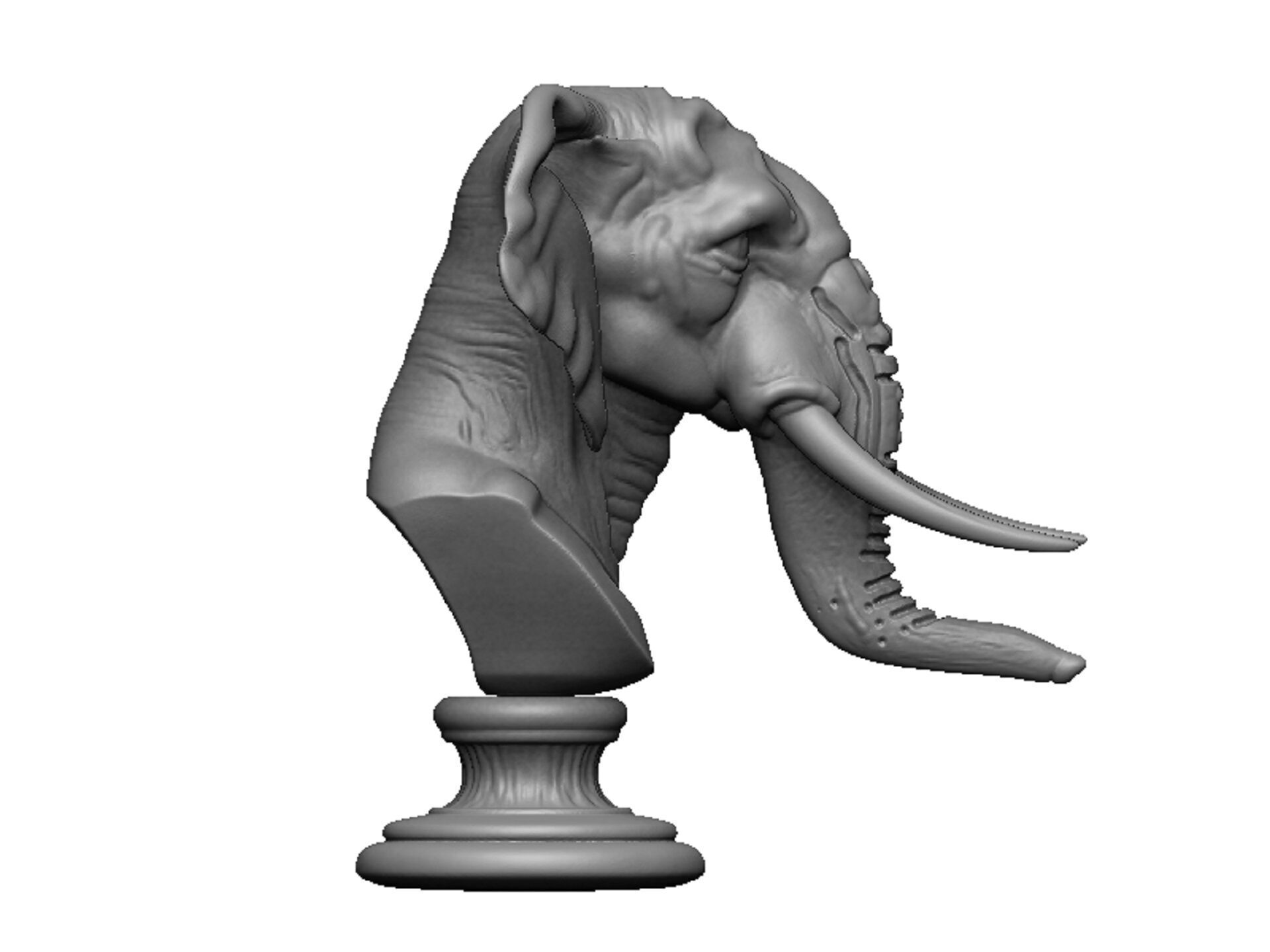 elephant head bust 3D print model_2