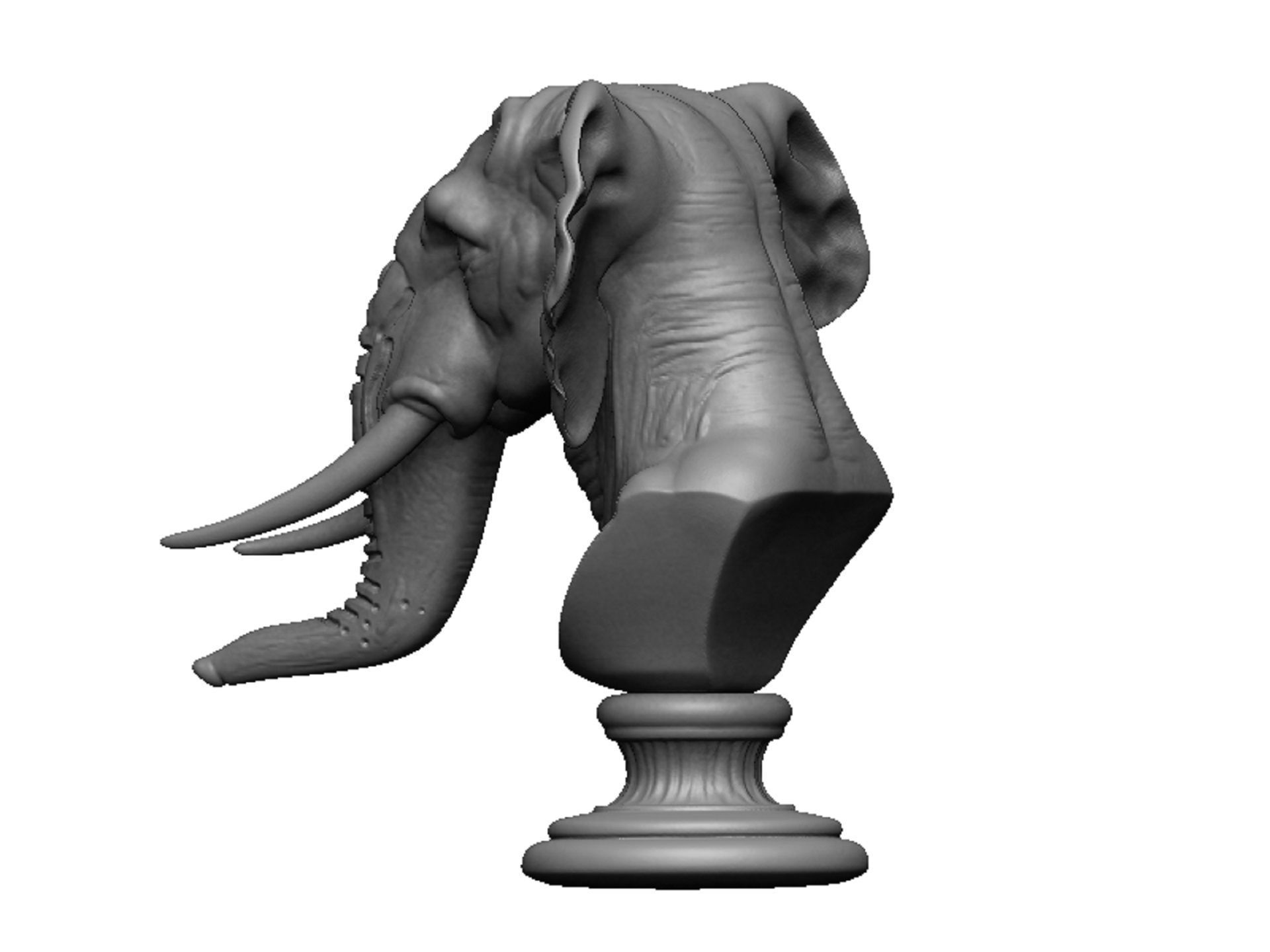 elephant head bust 3D print model_5