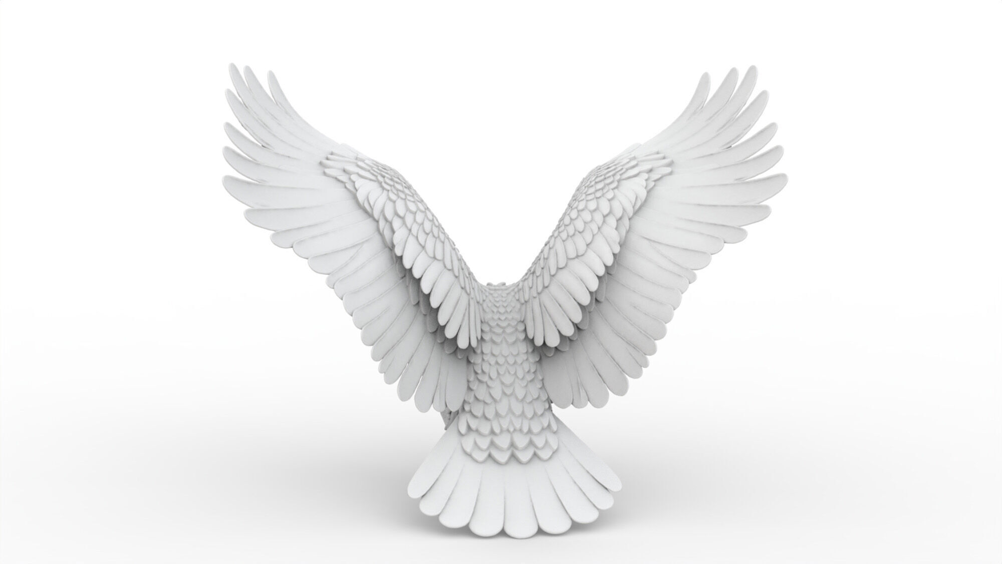 Flying Eagle with Wings Spread 3D print model_4