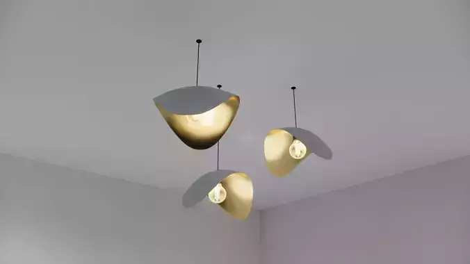 Modern Ceiling Pendant Lamps 3D model