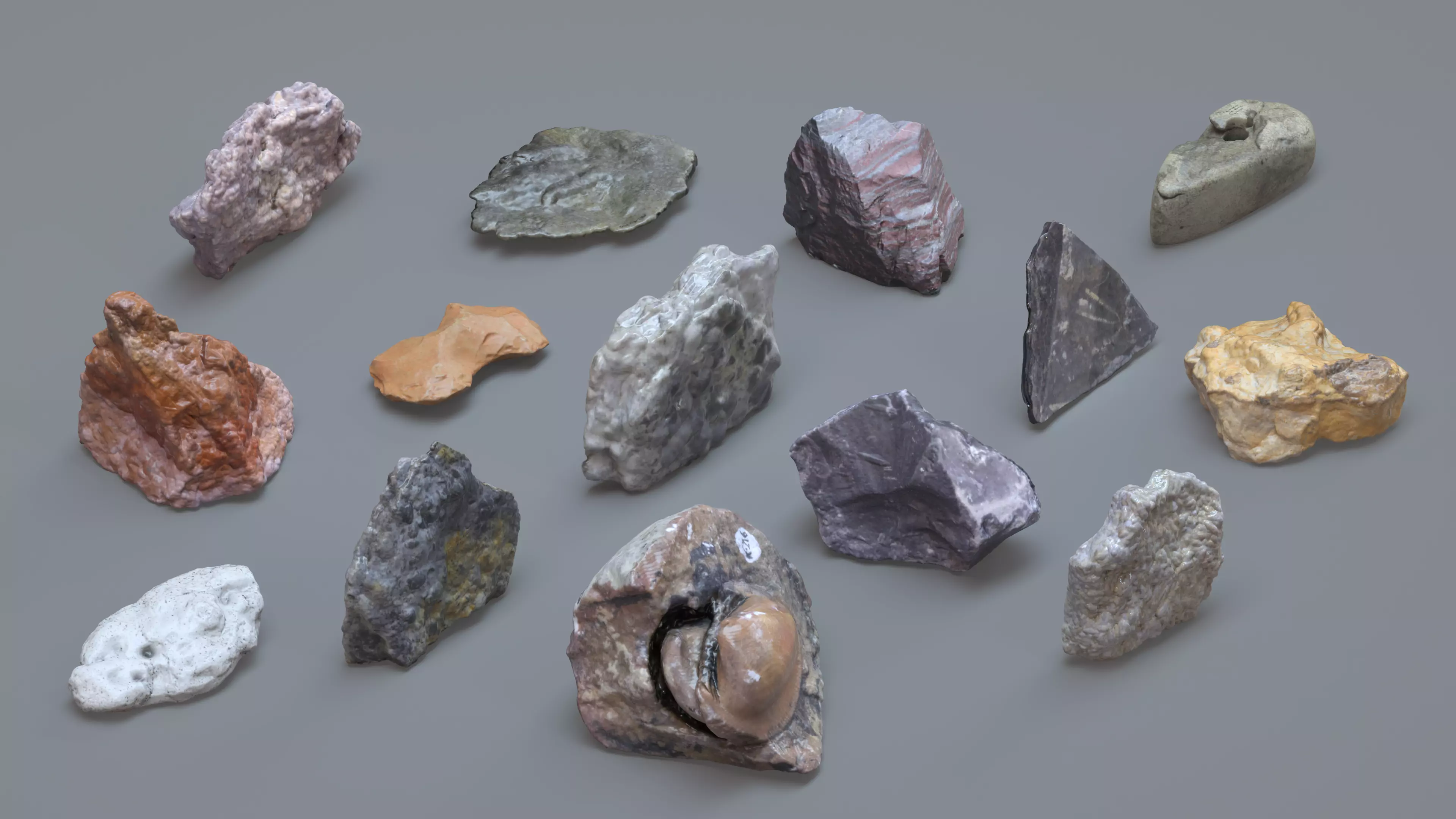 Photoreal Fossil Sedimentary Rocks - 16 PBR Scanned Assets 3D model