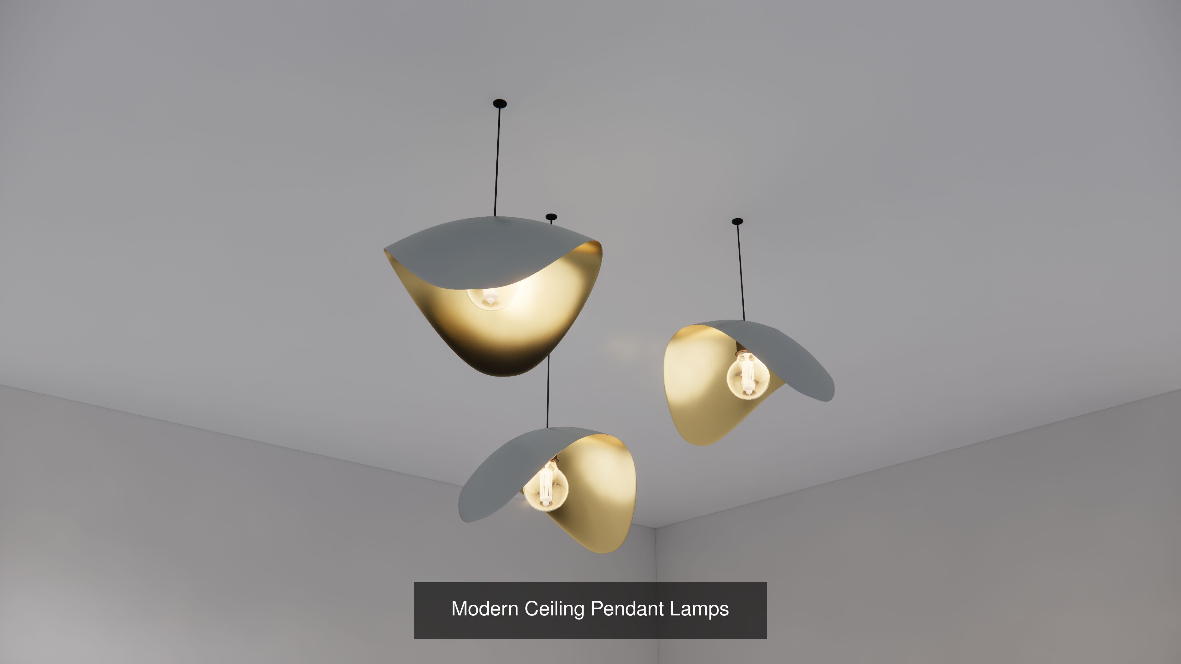 Modern Pendant Ceiling Lamps 3D Model Collection_3