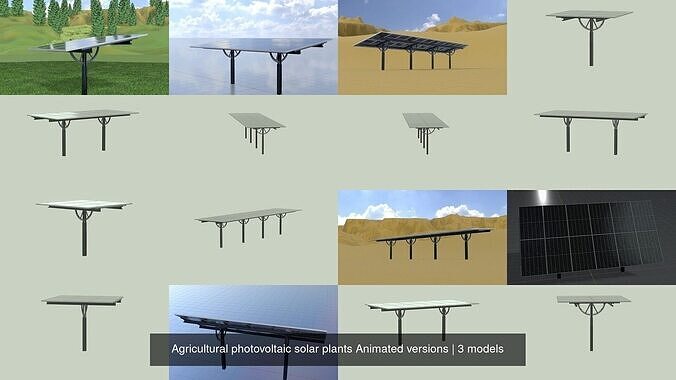 Agricultural photovoltaic solar plants Animated versions 3D Model Collection