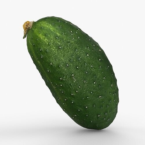 Photorealistic 3D scan of cucumber - Fresh Whole Vegetable Low-poly 3D model