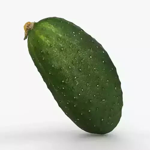 Photorealistic 3D scan of cucumber - Fresh Whole Vegetable