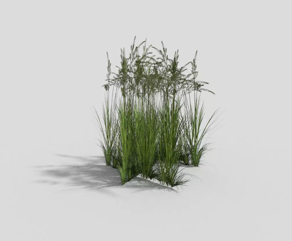 Grass tall Low-poly 3D model