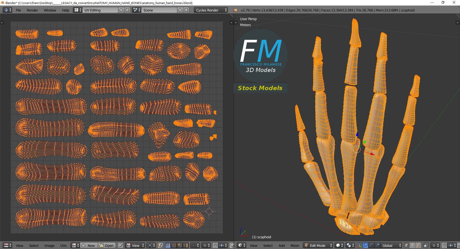 Anatomy - Human hand bones 3D model_10