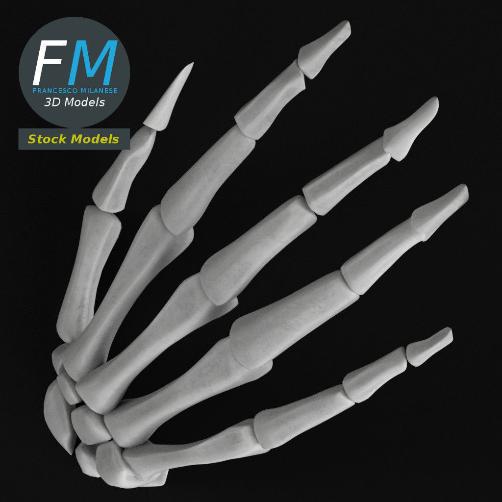 Anatomy - Human hand bones 3D model_6