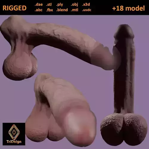 Anatomy Penis Rigged Lowpoly