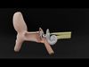 Anatomy human ear 3D model_2