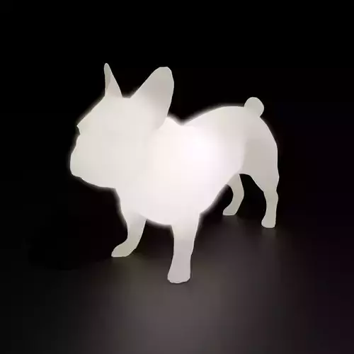 Indirect lighting for French bulldog