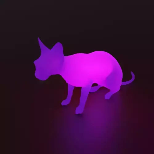 Indirect lighting for Sphynx Cat