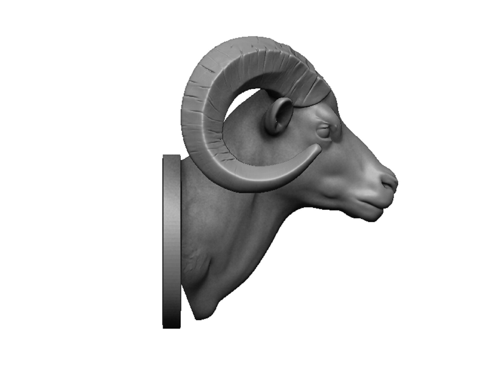 ram head 3D print model_2