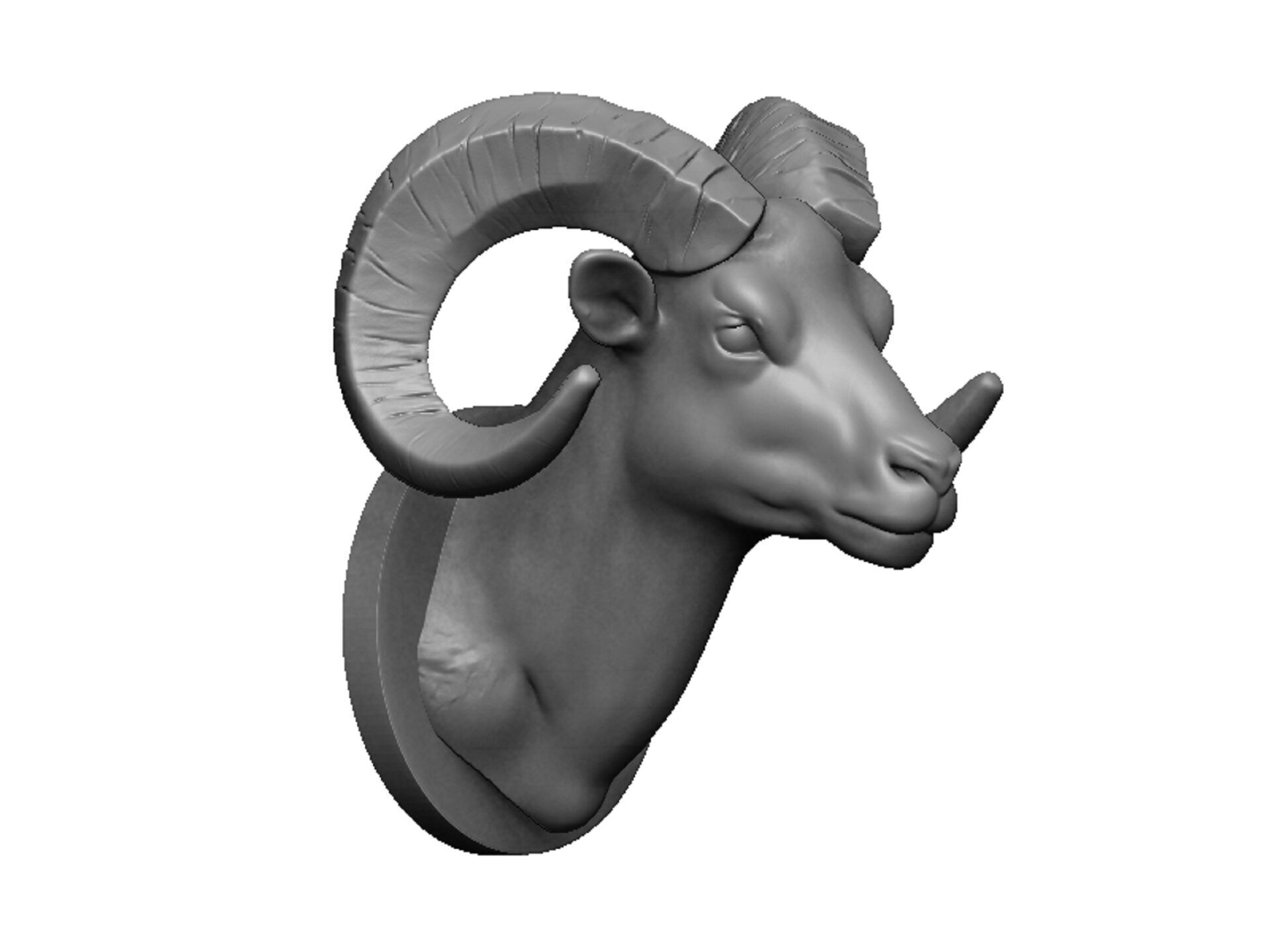 ram head 3D print model_1