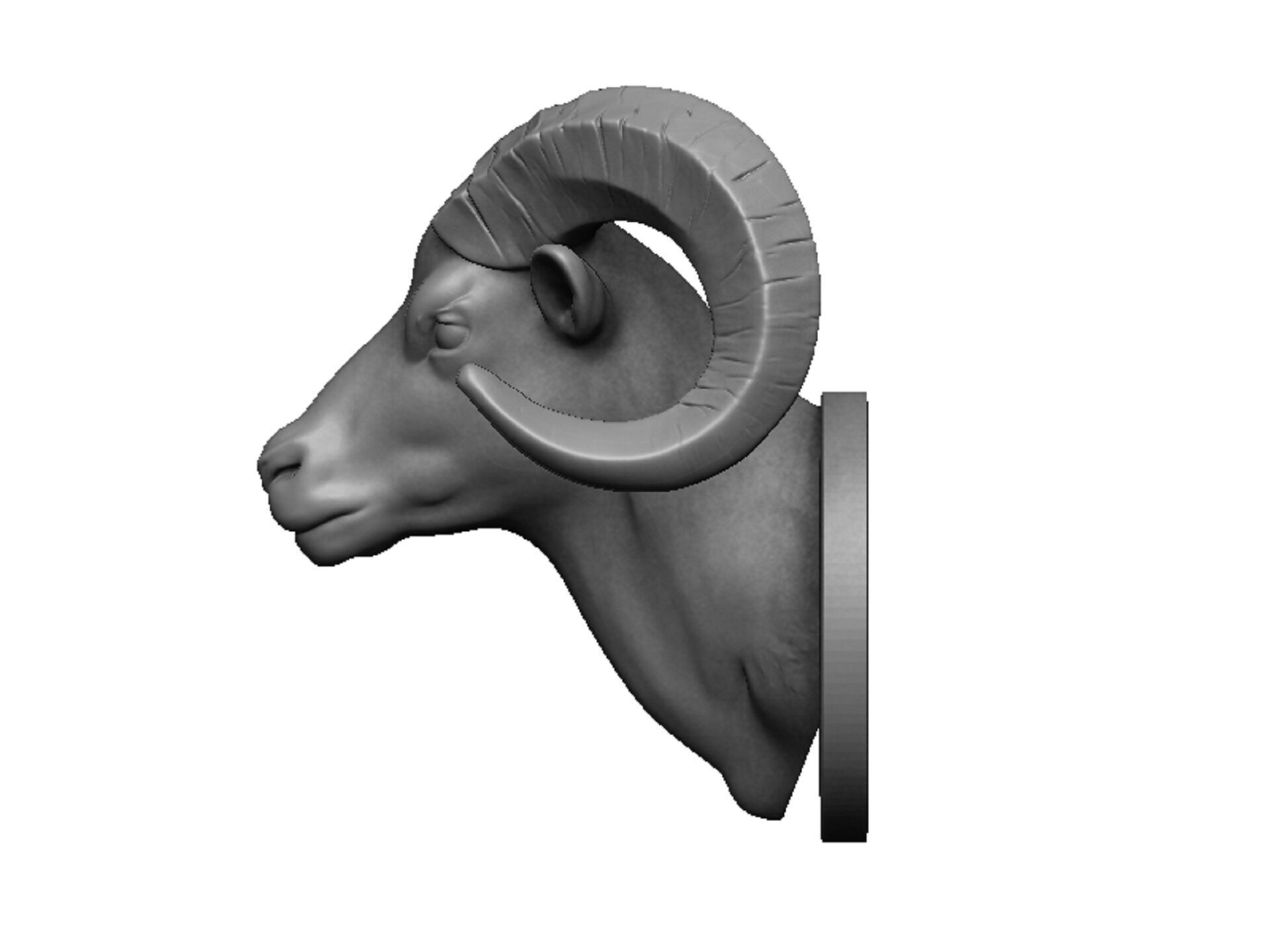 ram head 3D print model_4