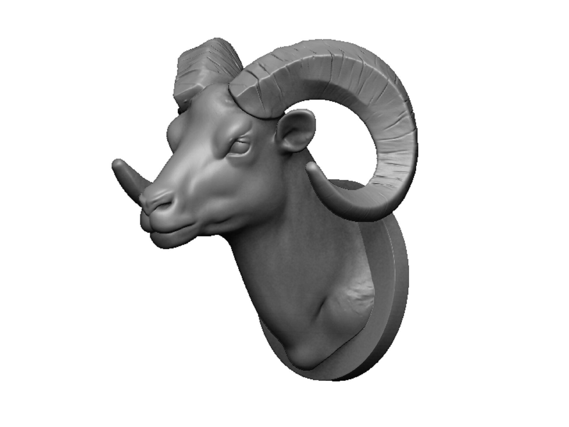 ram head 3D print model_3