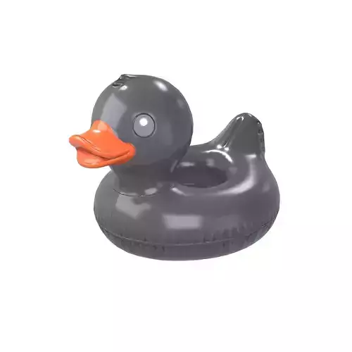 Duck Float v1 006