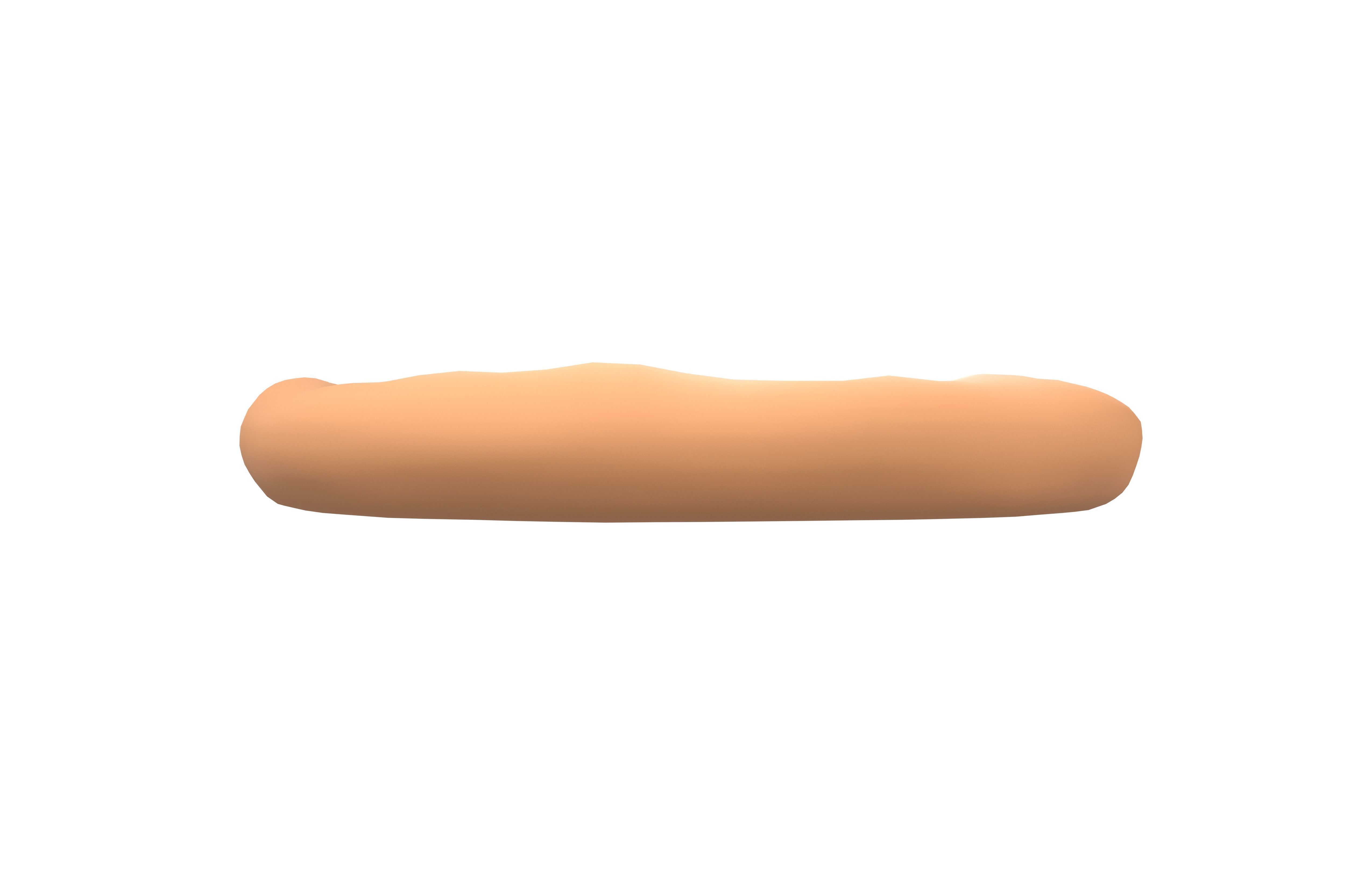 Crust V1 001 Low-poly 3D model_1