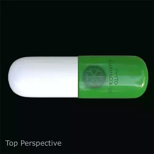 Phytopharmacology Medicine Capsule with PBR Textures 3D model