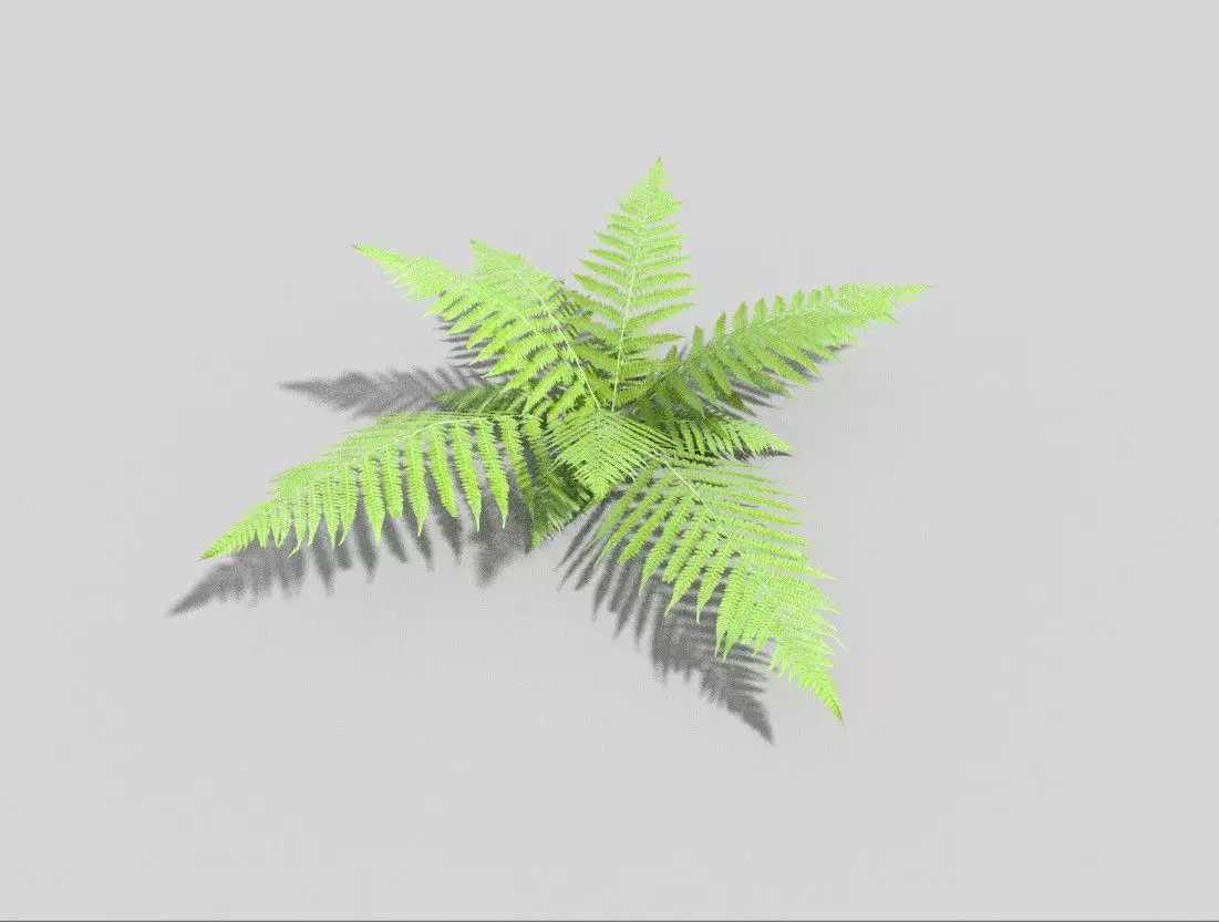 Fern plant Low-poly 3D model_0