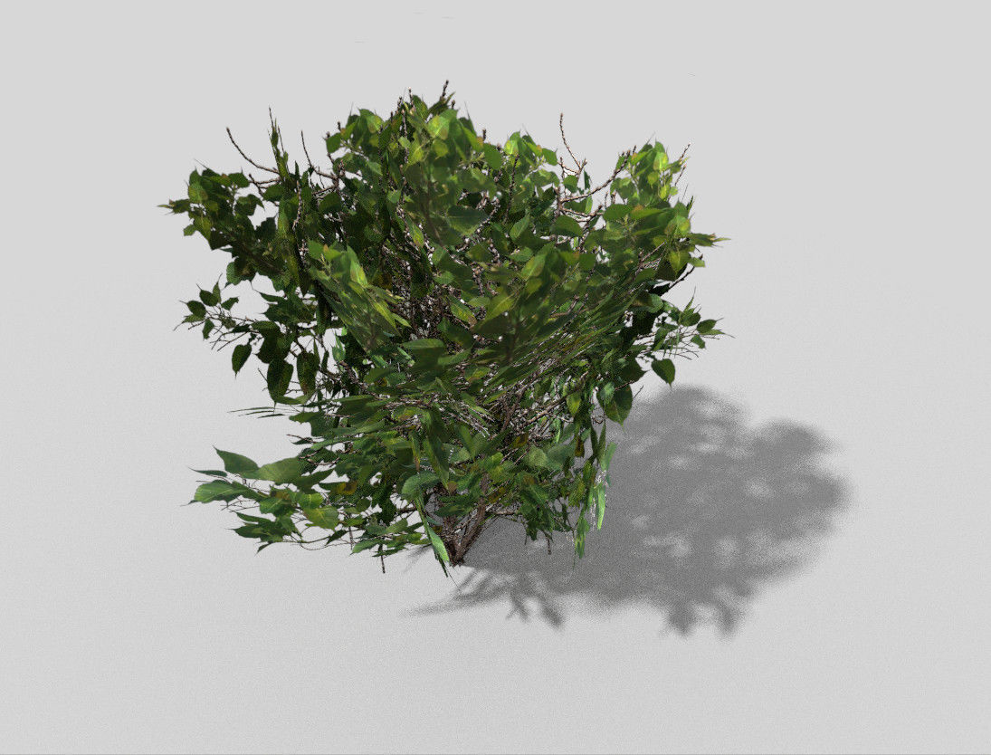 Shrub bush Low-poly 3D model_6