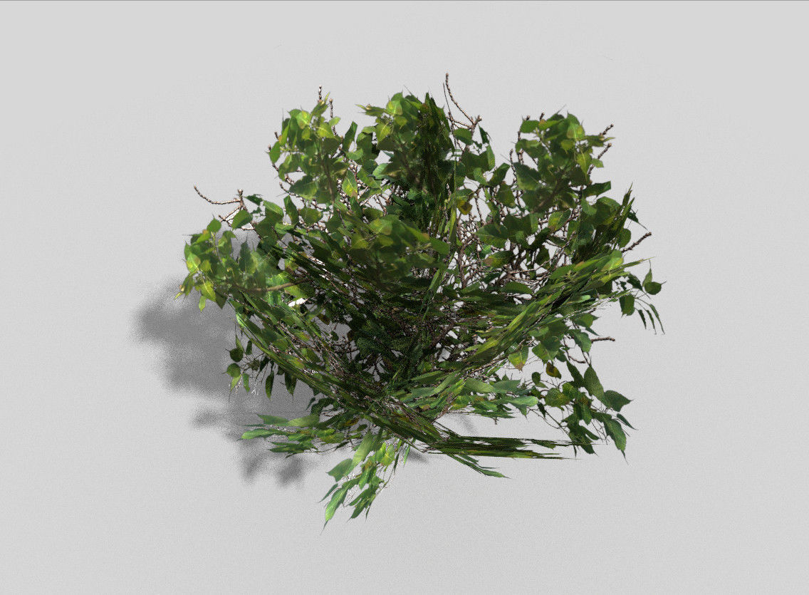 Shrub bush Low-poly 3D model_2