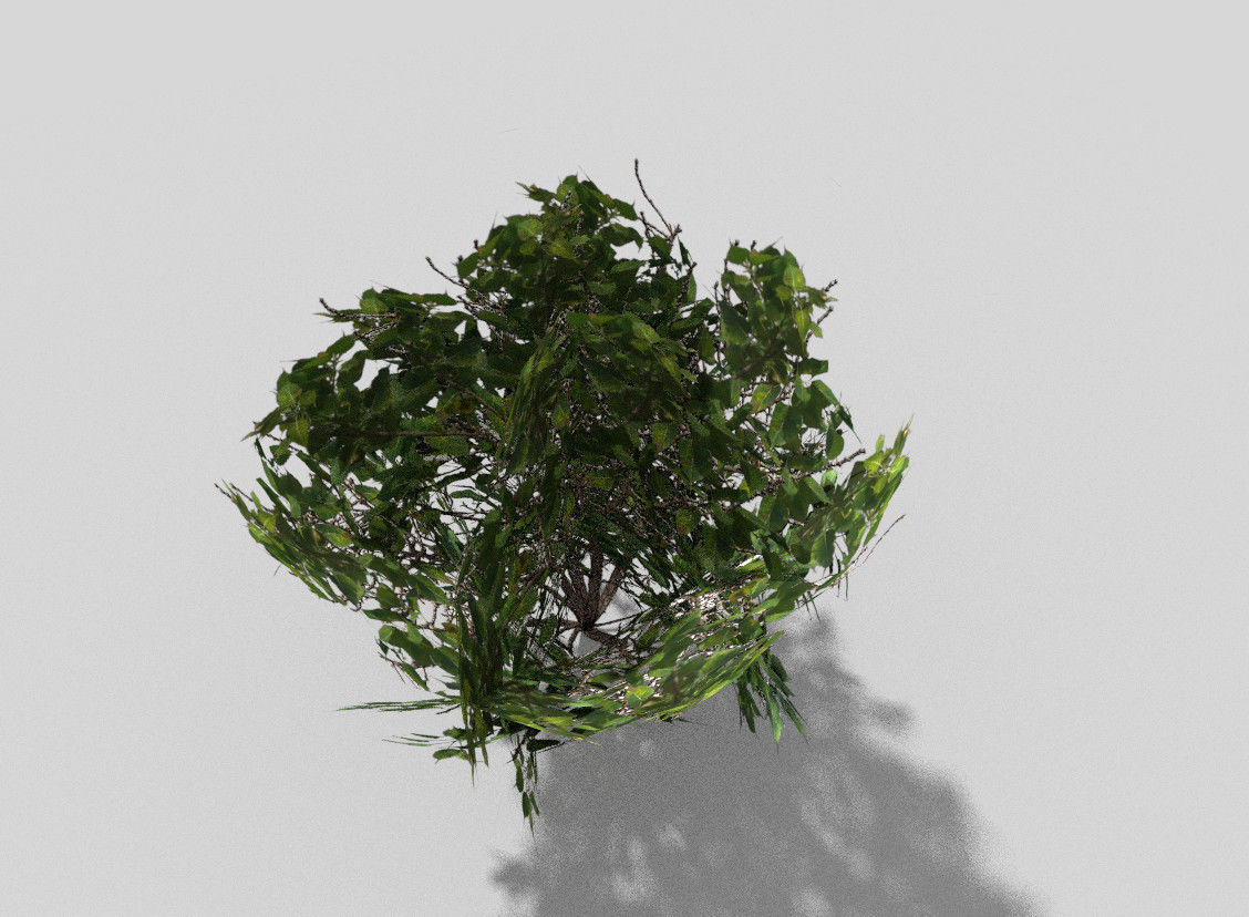 Shrub bush Low-poly 3D model_4