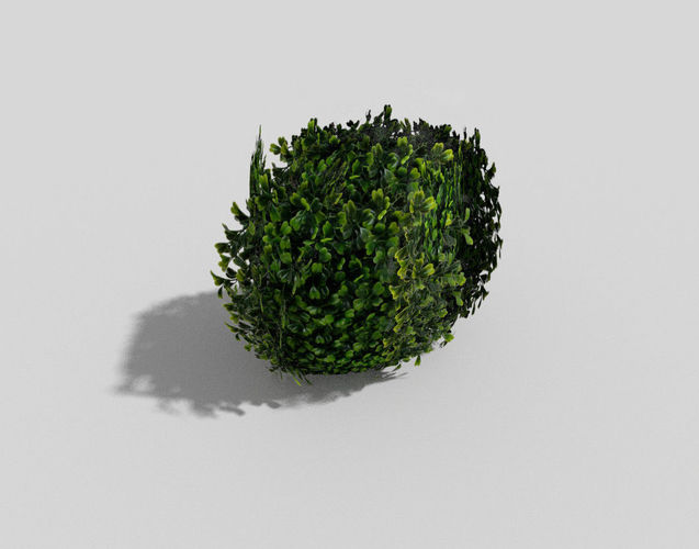 Shrub hedge Low-poly 3D model