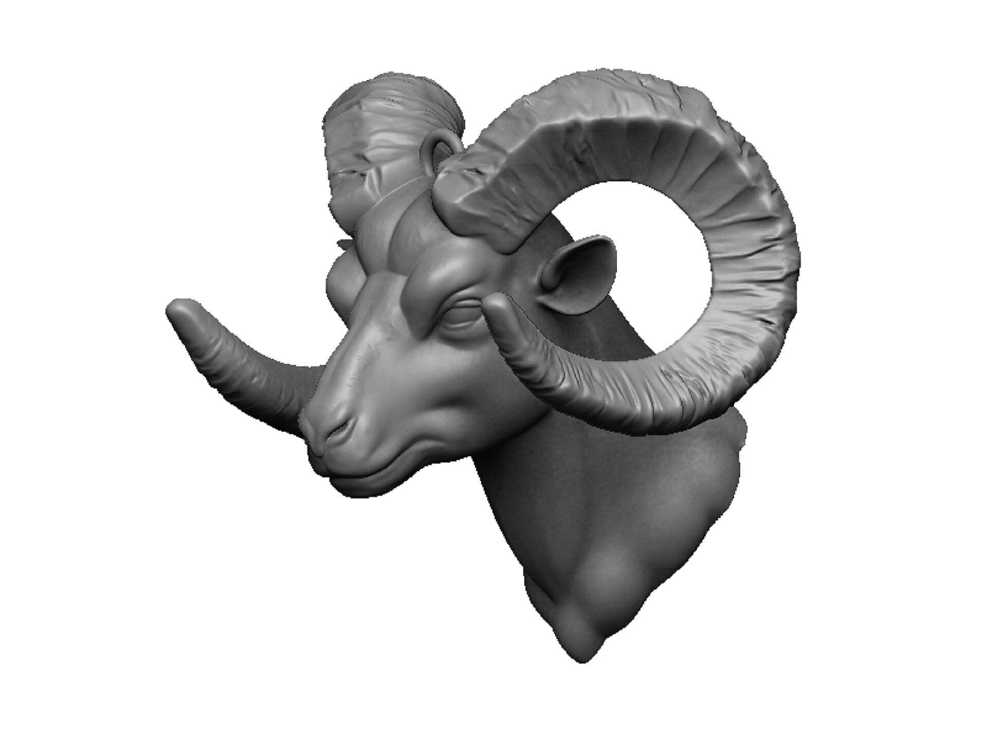 ram head 3D print model_3