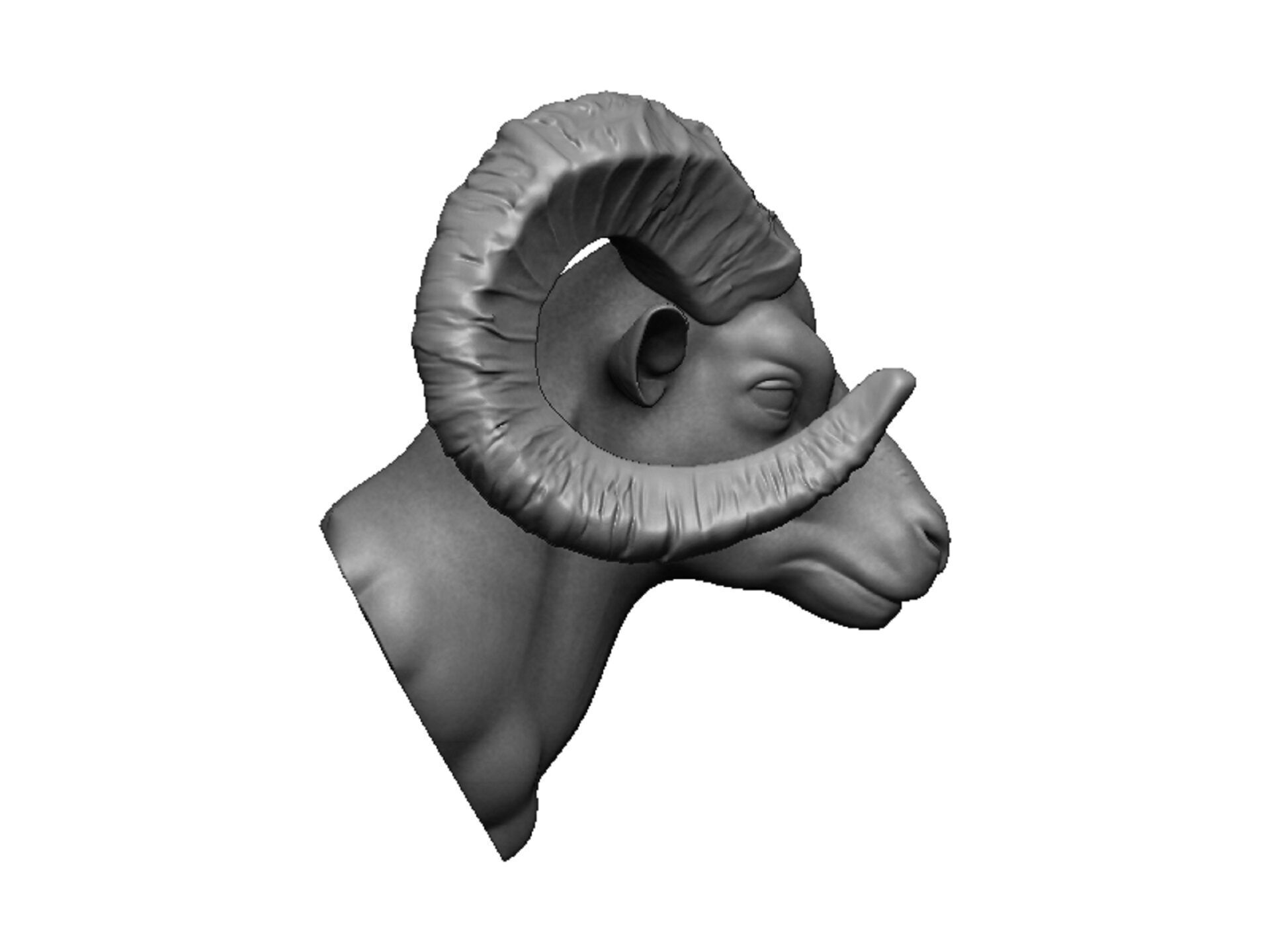 ram head 3D print model_2