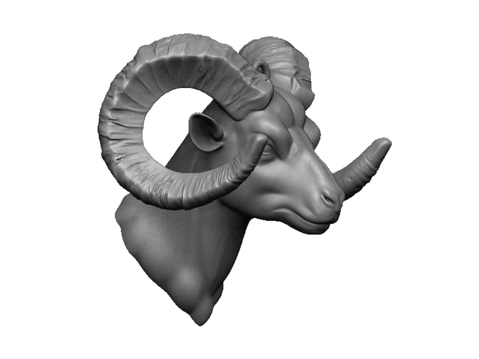ram head 3D print model_1