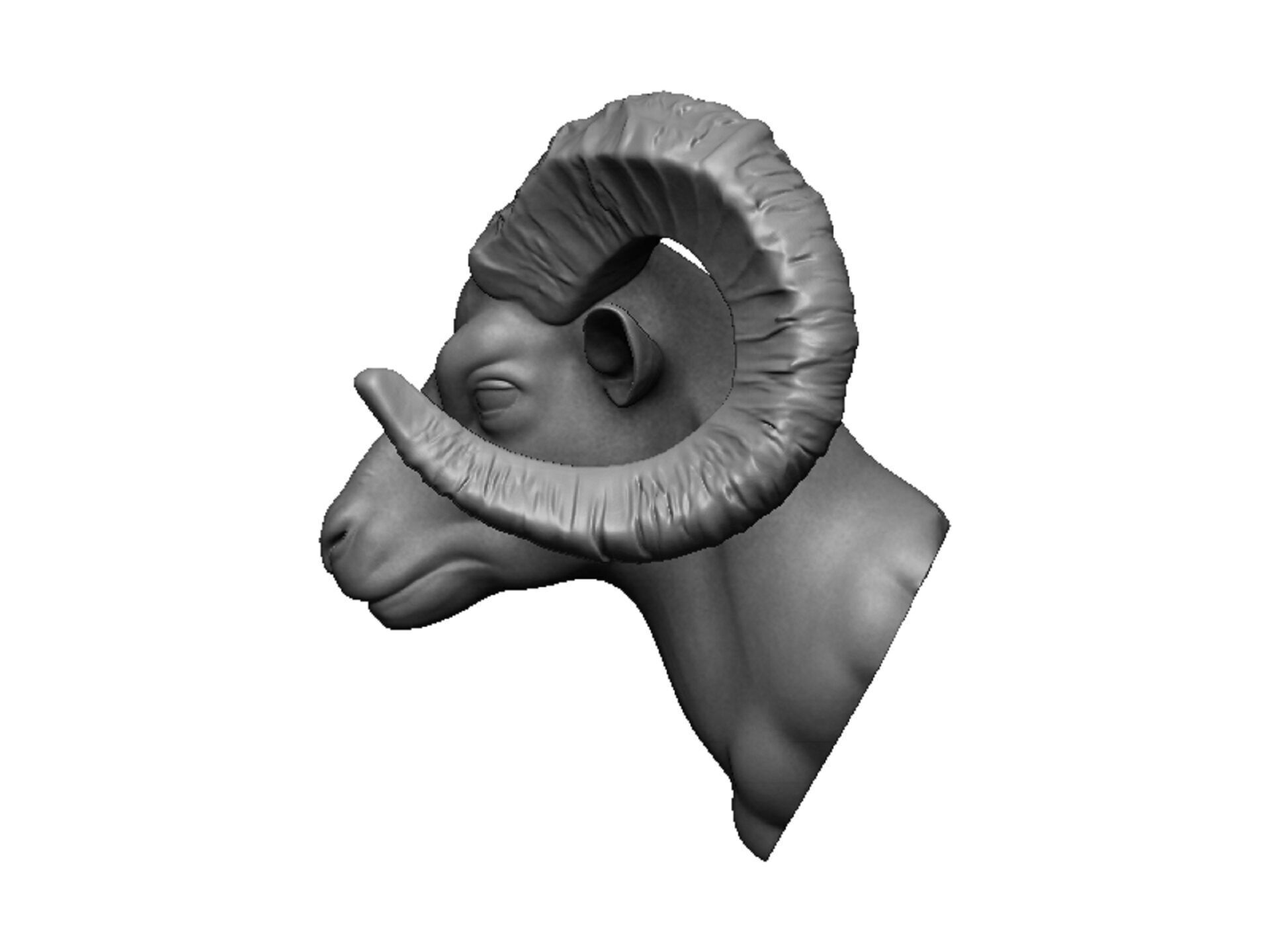 ram head 3D print model_4