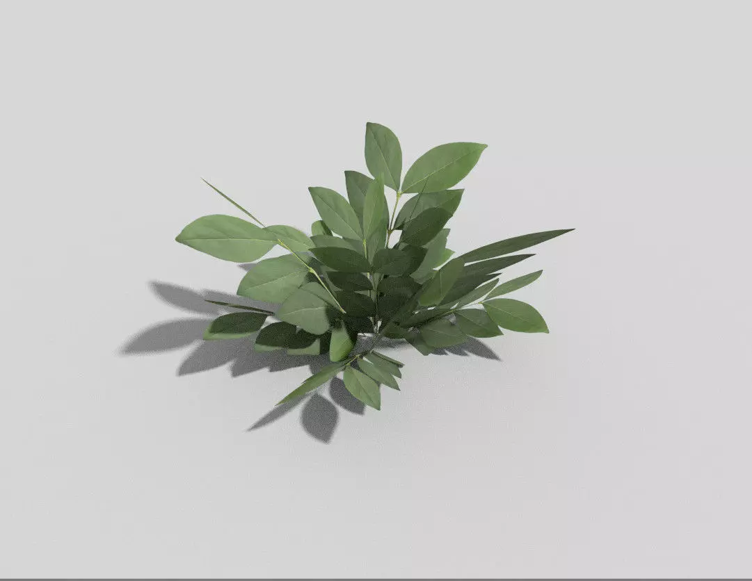 Plant Low-poly 3D model_0
