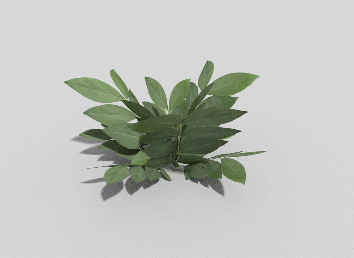 Plant Low-poly 3D model_2