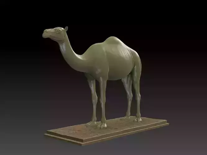 CAMEL 3D MODEL 3D print model