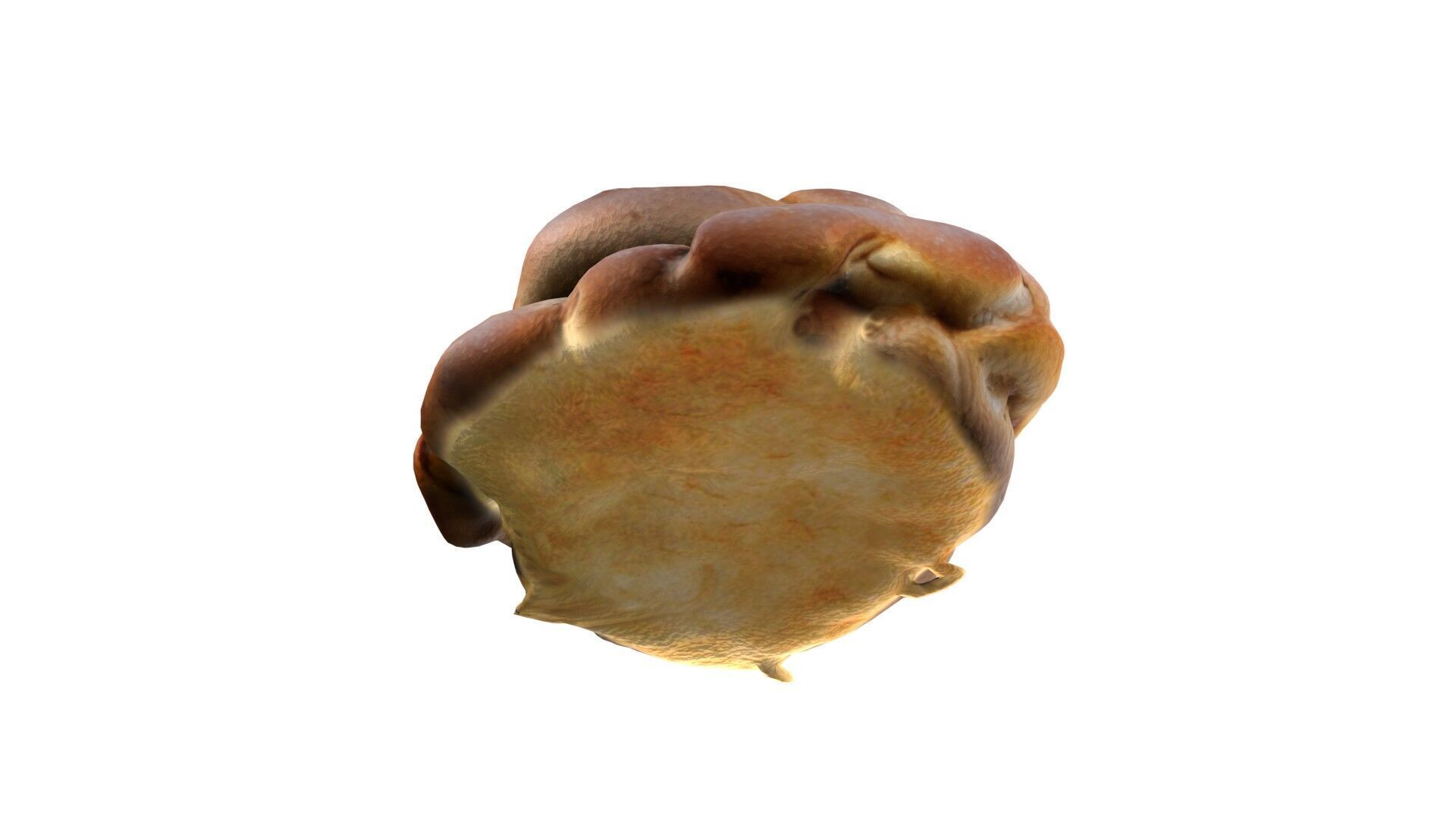 Cardamom Buns Low-poly 3D model_5
