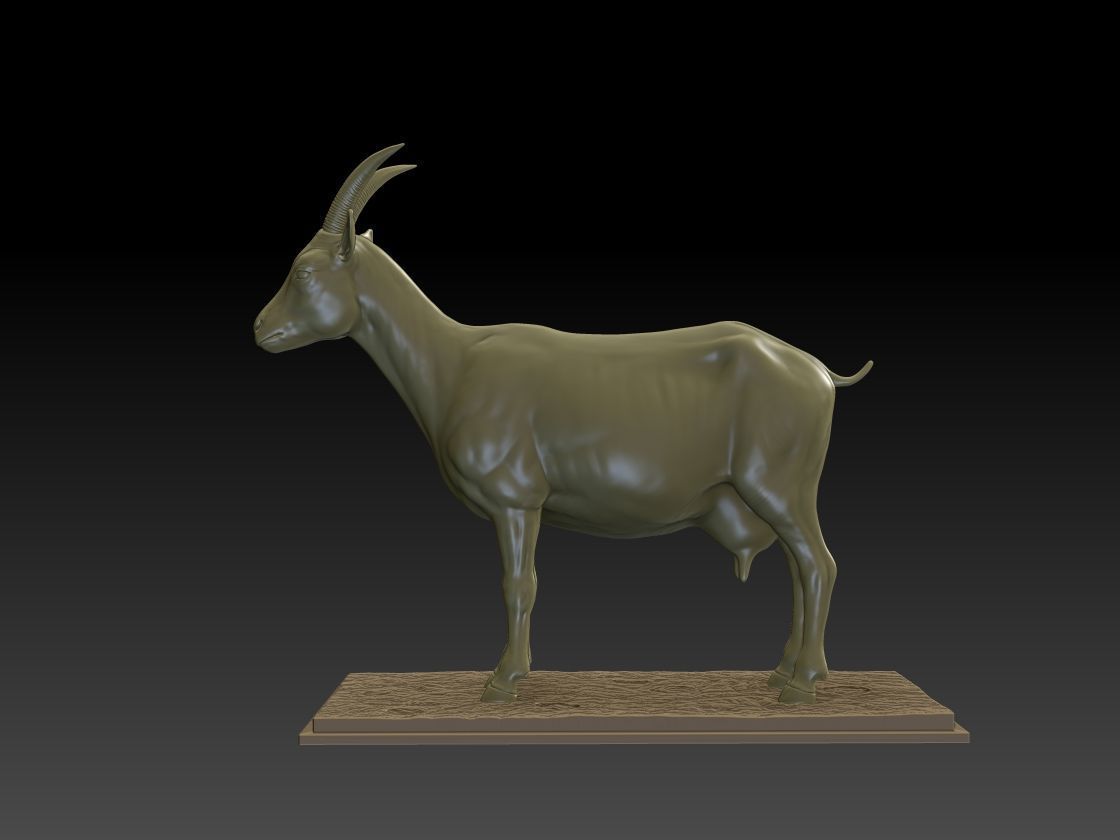 GOAT 3D MODEL 3D print model_1