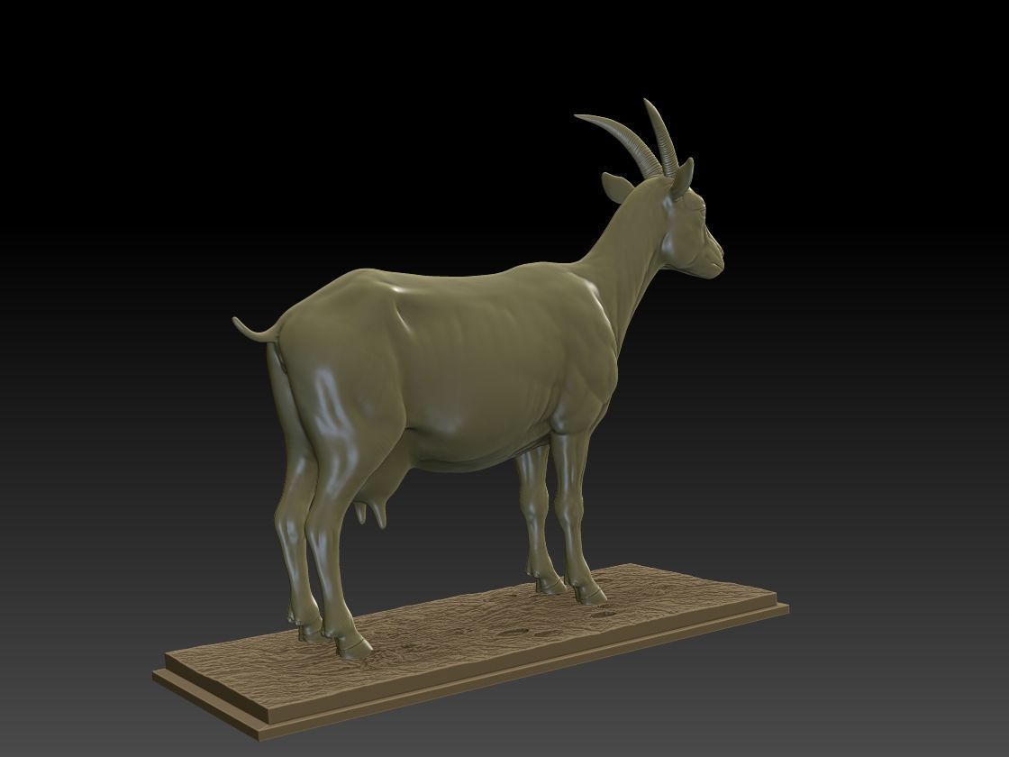 GOAT 3D MODEL 3D print model_3