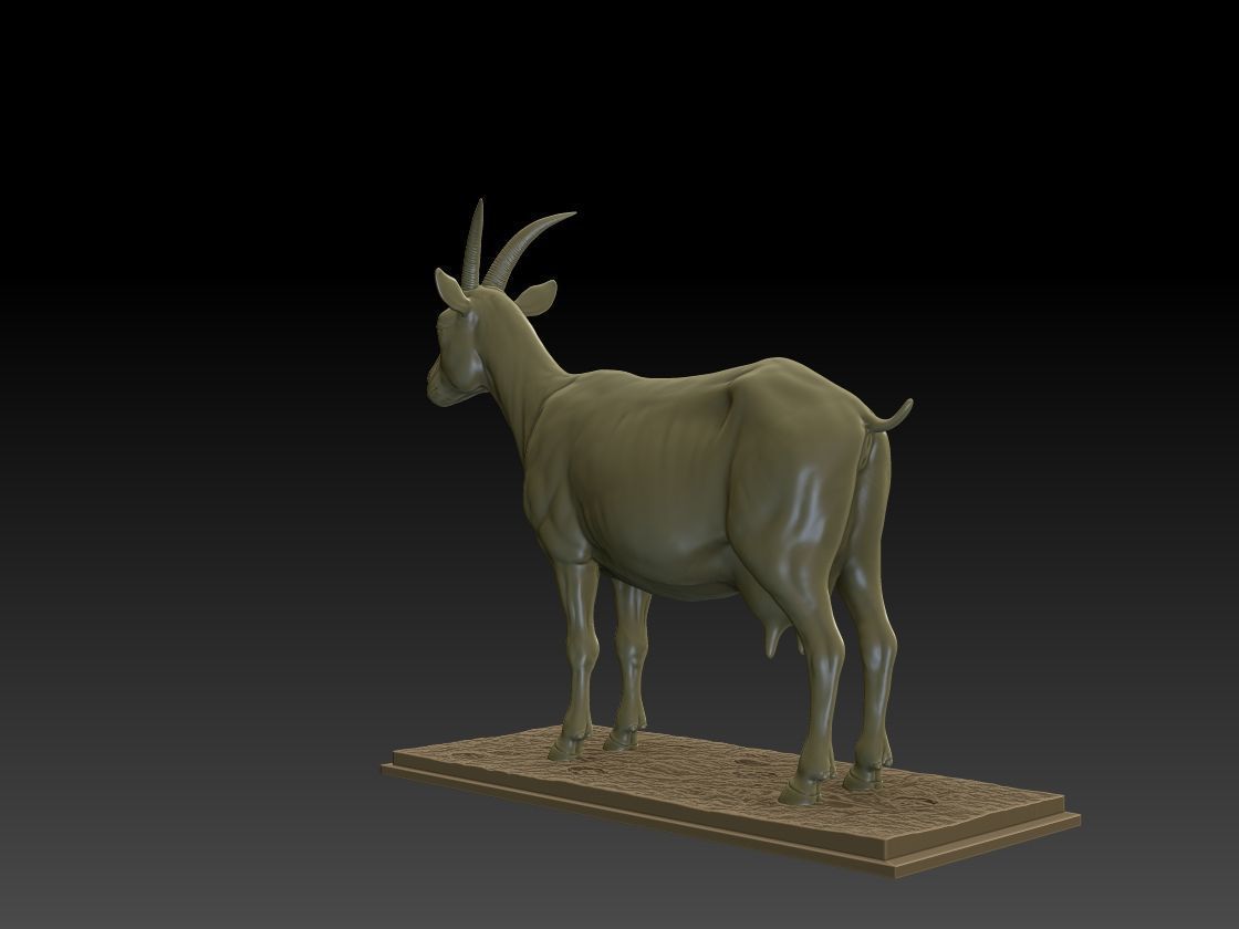 GOAT 3D MODEL 3D print model_2