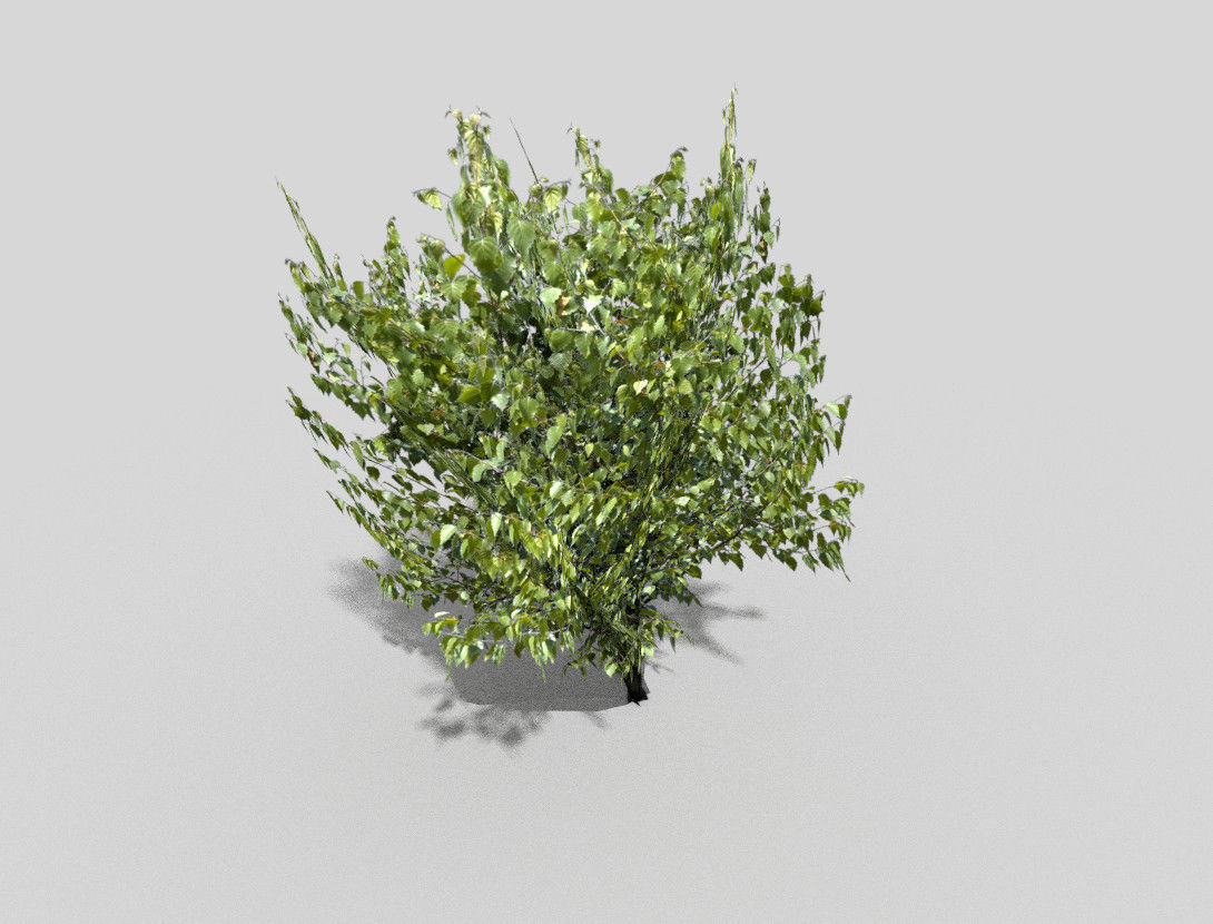 Tree Low-poly 3D model_3