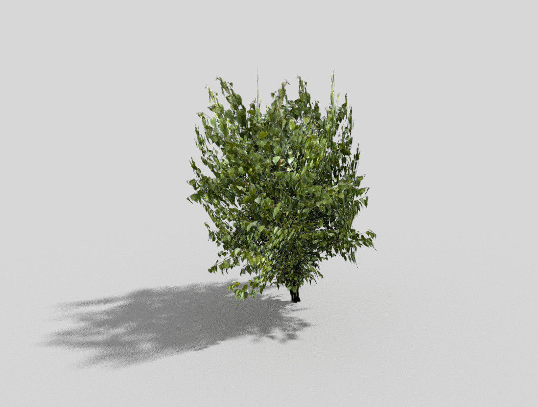 Tree Low-poly 3D model_1