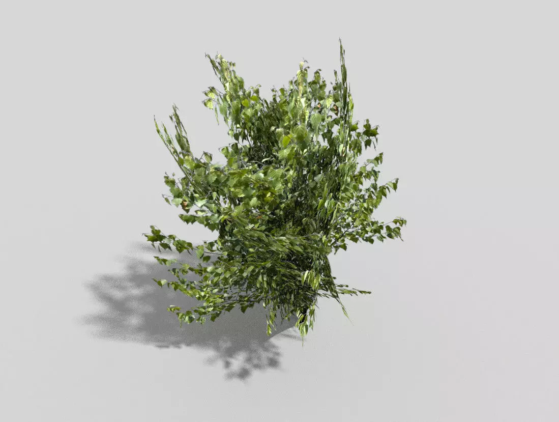 Tree Low-poly 3D model_0